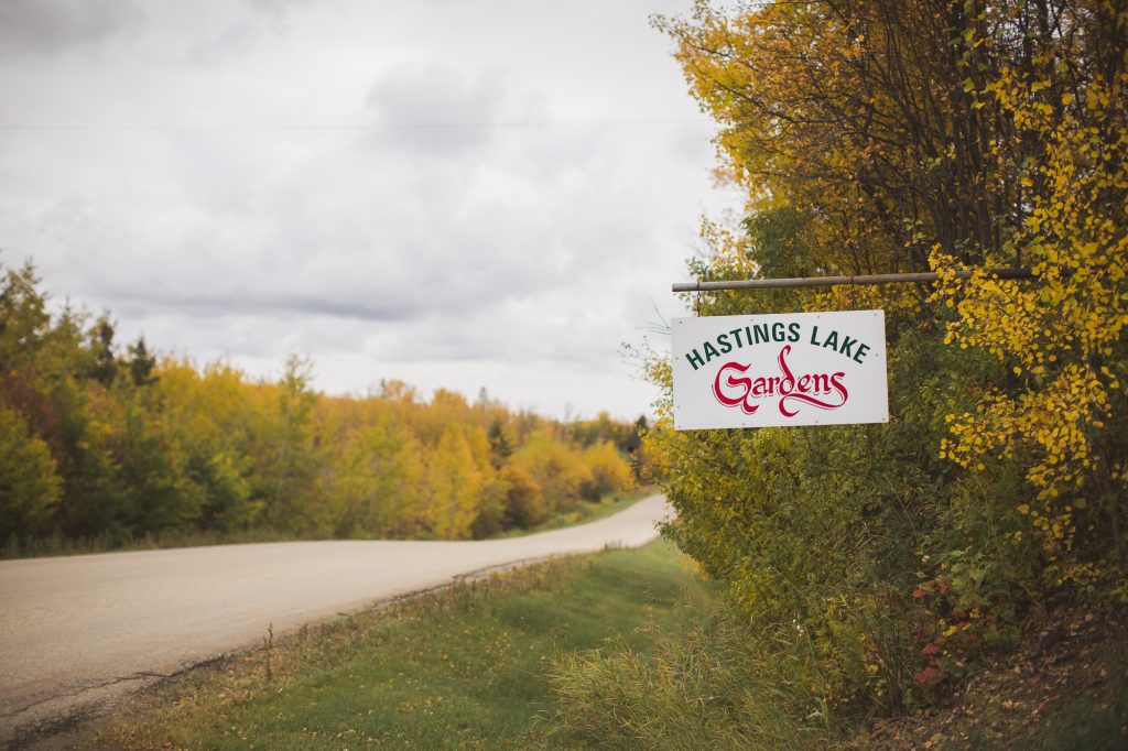 Hastings Lake Gardens